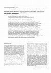 Research paper thumbnail of Identification of entero-aggregative Escherichia coli based on surface properties