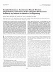 Research paper thumbnail of Insulin Resistance Accelerates Muscle Protein Degradation: Activation of the Ubiquitin-Proteasome Pathway by Defects in Muscle Cell Signaling