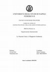 Research paper thumbnail of UNIVERSITÀ DEGLI STUDI DI NAPOLI FEDERICO II PROVA FINALE in Organizzazione Internazionale Le Nazioni Unite e il Rapporto Goldstone