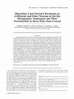 Research paper thumbnail of Muscarinic-2 and orexin-2 receptors on GABAergic and other neurons in the rat mesopontine tegmentum and their potential role in sleep-wake state control