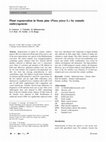 Research paper thumbnail of Plant regeneration in Stone pine (Pinus pinea L.) by somatic embryogenesis