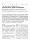 Research paper thumbnail of The growth arrest-specific gene product Gas6 promotes the survival of human oligodendrocytes via a phosphatidylinositol 3-kinase-dependent pathway