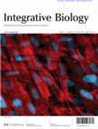 Research paper thumbnail of Surface topography induces 3D self-orientation of cells and extracellular matrix resulting in improved tissue function