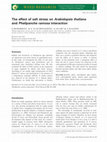 Research paper thumbnail of The effect of salt stress on Arabidopsis thaliana and Phelipanche ramosa interaction