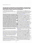 Research paper thumbnail of Age-related alterations in mitochondrial physiological parameters and nitric oxide production in synaptic and non-synaptic brain cortex mitochondria