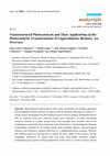 Research paper thumbnail of Nanostructured Photocatalysts and Their Applications in the Photocatalytic Transformation of Lignocellulosic Biomass: An Overview