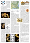 Research paper thumbnail of The Golden Treasure from Panagyrishte in local and Mediterranean Context