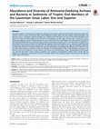 Research paper thumbnail of Abundance and Diversity of Ammonia-Oxidizing Archaea and Bacteria in Sediments of Trophic End Members of the Laurentian Great Lakes, Erie and Superior