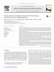 Research paper thumbnail of Volcanic plume vent conditions retrieved from infrared images: A forward and inverse modeling approach