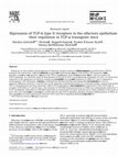 Research paper thumbnail of Expression of TGF-β type II receptors in the olfactory epithelium and their regulation in TGF-α transgenic mice