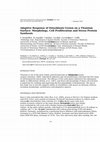 Research paper thumbnail of Adaptive Response of Osteoblasts Grown on a Titanium Surface: Morphology, Cell Proliferation and Stress Protein Synthesis