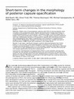 Research paper thumbnail of Short-term changes in the morphology of posterior capsule opacification