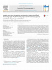 Research paper thumbnail of Insights into chiral recognition mechanism in supercritical fluid chromatography IV. Chlorinated polysaccharide stationary phases