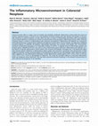 Research paper thumbnail of The Inflammatory Microenvironment in Colorectal Neoplasia