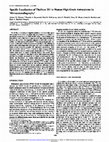 Research paper thumbnail of Specific localization of thallium 201 in human high-grade astrocytoma by microautoradiography