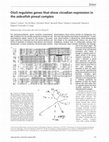 Research paper thumbnail of Otx5 regulates genes that show circadian expression in the zebrafish pineal complex