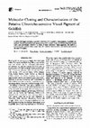 Research paper thumbnail of Molecular cloning and characterization of the putative ultraviolet-sensitive visual pigment of goldfish