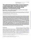 Research paper thumbnail of The catecholamine biosynthetic enzyme dopamine β-hydroxylase (DBH): first genome-wide search positions trait-determining variants acting additively in the proximal promoter