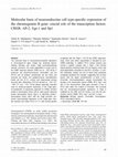 Research paper thumbnail of Molecular basis of neuroendocrine cell type-specific expression of the chromogranin�B gene: crucial role of the transcription factors CREB, AP2, Egr1 and Sp1