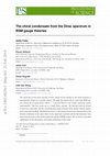 Research paper thumbnail of The chiral condensate from the Dirac spectrum in BSM gauge theories