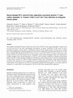 Research paper thumbnail of Intron–hairpin RNA Derived from Replication Associated Protein C1 Gene Confers Immunity to Tomato Yellow Leaf Curl Virus Infection in Transgenic Tomato Plants