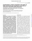 Research paper thumbnail of Conformation, protein recognition and repair of DNA interstrand and intrastrand cross-links of Antitumor trans-[PtCl2(NH3)(thiazole)]