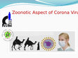 Research paper thumbnail of Coronaviruses