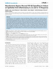 Research paper thumbnail of Mycobacteria Bypass Mucosal NF-kB Signalling to Induce an Epithelial Anti-Inflammatory IL-22 and IL-10 Response