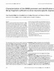 Research paper thumbnail of Characterization of the BM88 promoter and identification of an 88 bp fragment sufficient to drive neurone-specific expression