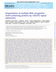 Research paper thumbnail of Sequestration of multiple RNA recognition motif-containing proteins by C9orf72 repeat expansions