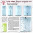 Research paper thumbnail of Fluid Webs: Tearing of Viscoelastic Films