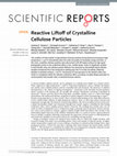 Research paper thumbnail of Reactive Liftoff of Crystalline Cellulose Particles