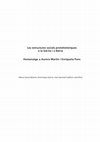 Research paper thumbnail of "Jerarquía y heterarquía en las cuencas extremeñas del Guadiana y Tajo durante el Período Orientalizante". Les estructures socials protohistòriques a la Gàl·lia i a Ibèria Homenatge a Aurora Martín i Enriqueta Pons. Arqueo Mediterrània, 14 (2015)