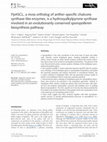 Research paper thumbnail of PpASCL, a moss ortholog of anther-specific chalcone synthase-like enzymes, is a hydroxyalkylpyrone synthase involved in an evolutionarily conserved sporopollenin biosynthesis pathway