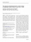 Research paper thumbnail of The molecular and biochemical basis for varietal variation in sesquiterpene content in melon (Cucumis melo L.) rinds