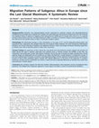 Research paper thumbnail of Migration Patterns of Subgenus Alnus in Europe since the Last Glacial Maximum: A Systematic Review