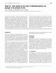 Research paper thumbnail of Rapid Ca2+ influx induced by the action of dibutylhydroquinone and glucagon in the perfused rat liver