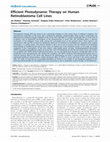 Research paper thumbnail of Efficient Photodynamic Therapy on Human Retinoblastoma Cell Lines