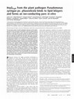 Research paper thumbnail of HrpZPsph from the plant pathogen Pseudomonas syringae pv. phaseolicola binds to lipid bilayers and forms an ion-conducting pore invitro