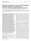 Research paper thumbnail of Glomerular expression of neuronal activity-regulated pentraxin precedes the development of anti-Thy-1-induced progressive glomerulosclerosis