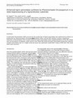 Research paper thumbnail of Enhanced lignin peroxidase synthesis by Phanerochaete Chrysosporium in solid state bioprocessing of a lignocellulosic substrate