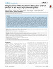 Research paper thumbnail of Strigolactones Inhibit Caulonema Elongation and Cell Division in the Moss Physcomitrella patens