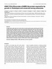 Research paper thumbnail of KINKY POLLEN encodes a SABRE-like protein required for tip growth in Arabidopsis and conserved among eukaryotes