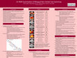 Research paper thumbnail of An fMRI Examination of Bilingual Non-Verbal Task Switching