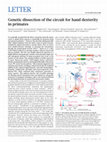 Research paper thumbnail of Genetic dissection of the circuit for hand dexterity in primates