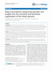 Research paper thumbnail of Deep transcriptome sequencing provides new insights into the structural and functional organization of the wheat genome