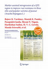 Research paper thumbnail of Marker-assisted introgression of a QTL region to improve rust resistance in three elite and popular varieties of peanut (Arachis hypogaea L.)