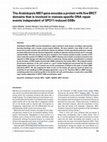 Research paper thumbnail of The Arabidopsis MEI1 gene encodes a protein with five BRCT domains that is involved in meiosis-specific DNA repair events independent of SPO11-induced DSBs