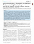 Research paper thumbnail of Crossover Localisation Is Regulated by the Neddylation Posttranslational Regulatory Pathway