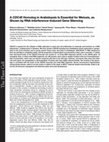 Research paper thumbnail of A CDC45 Homolog in Arabidopsis Is Essential for Meiosis, as Shown by RNA Interference-Induced Gene Silencing